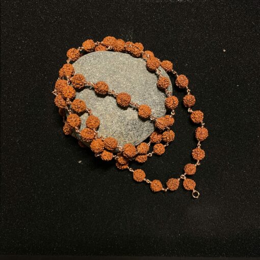 Rudraksha Mala 54 Perlen